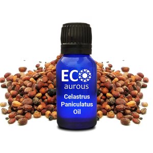 Celastrus Paniculatus Essential Oil