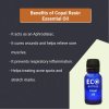 Copal Resin Essential Oil