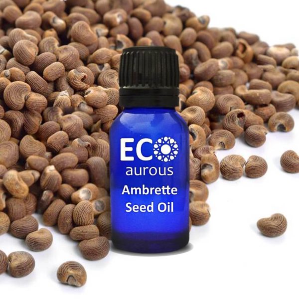 Ambrette Seed Essential Oil