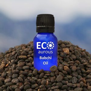 Babchi Essential Oil