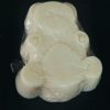 Baby Bathing Bar Soap With Shea Butter By Eco Aurous
