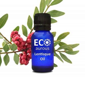 Lentisque Leaf Essential Oil