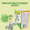 Leaf Extract 1100Mg For Increasing Platelet Count And Building Immunity For Dengue