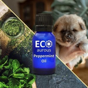Peppermint Essential Oil For Dogs