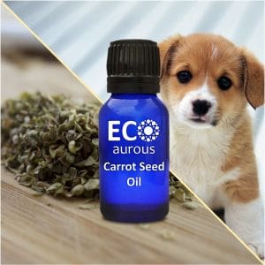 Carrot Seed Essential Oil For Dogs