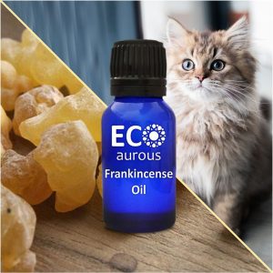 Frankincense Essential Oil For Cats