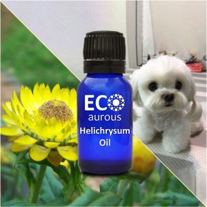 Helichrysum Essential Oil For Dogs