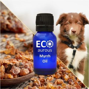 Myrrh Essential Oil For Dogs
