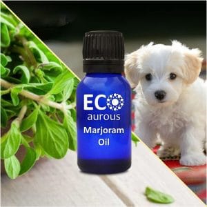 Sweet Marjoram Essential Oil For Dogs